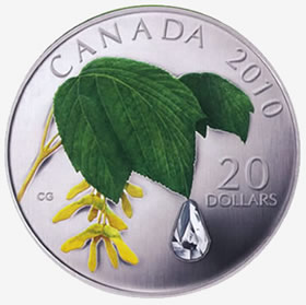 2010 raindrop coin design