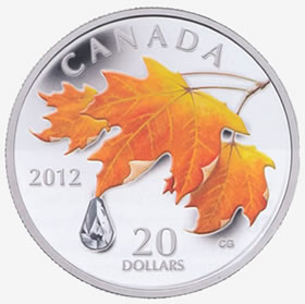2012 raindrop coin design